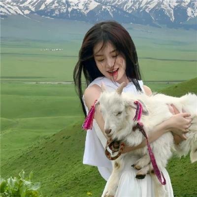 魔导少年剧场版：龙之泪